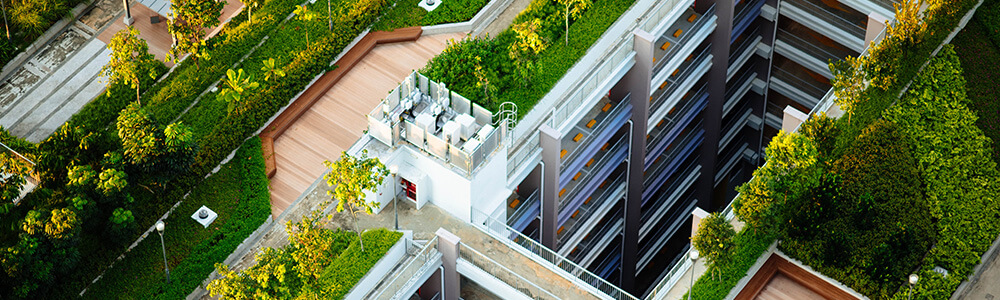 ReHolz_Why-Green-Architecture-is-The-Future